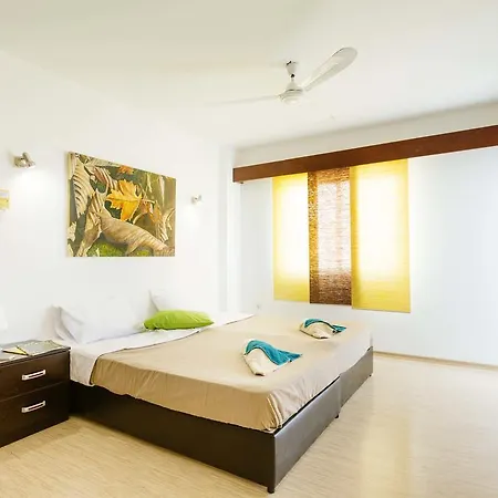 Apartamento Penthouse B7